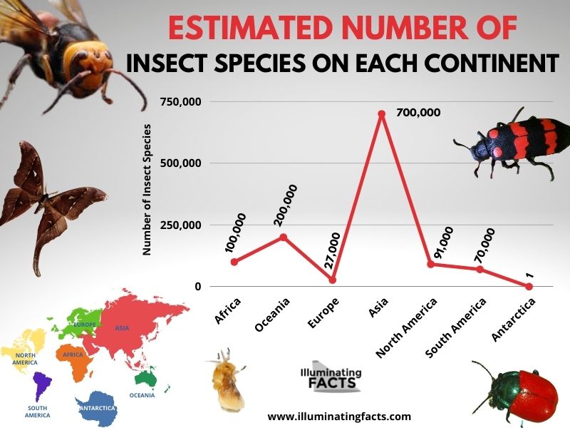 Estimated Number of Species on Each Continent